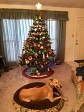 060_2017-12-01-IMG_1514 (Edited).JPG
